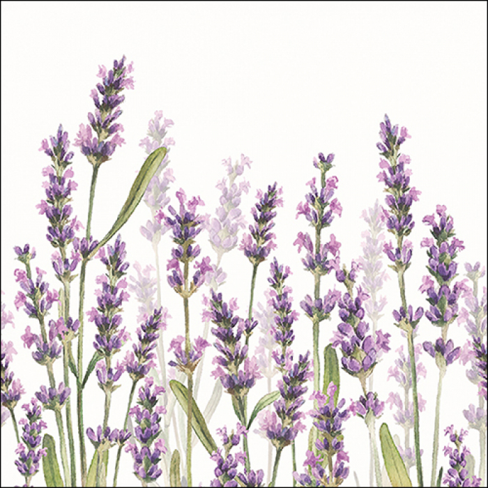 Tovagliolo 3 veli in carta 33x33 Lavanda
